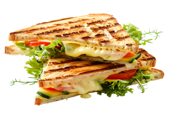 Veg Sandwich